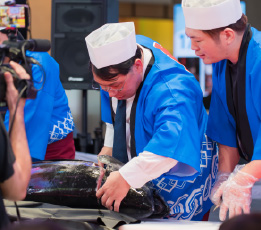 マグロの解体ショー